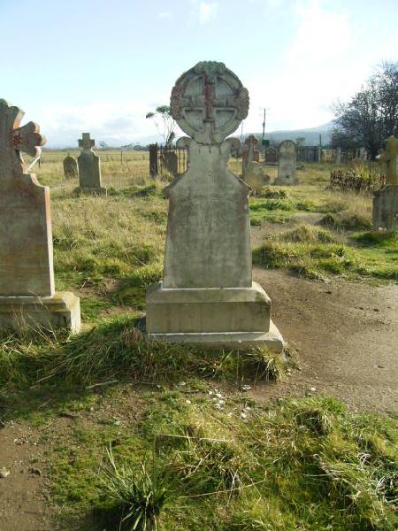 Full-size image