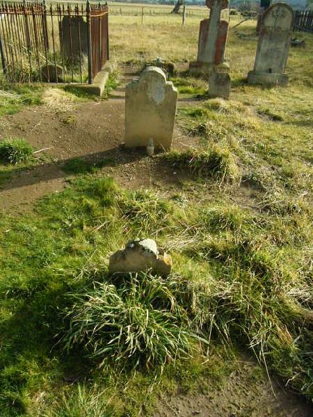 Full-size image