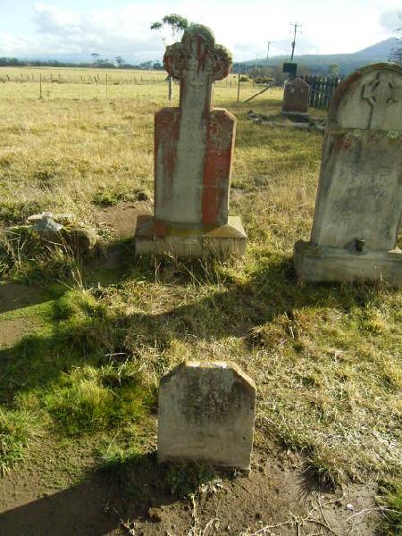 Full-size image