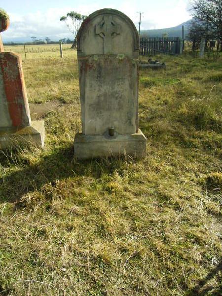 Full-size image