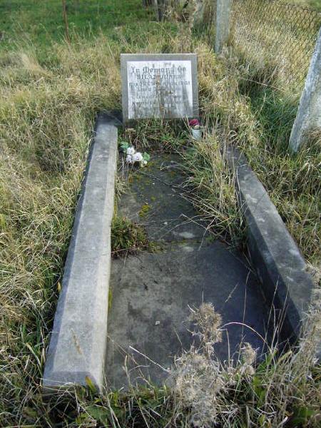 Full-size image