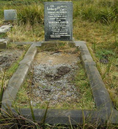 Full-size image