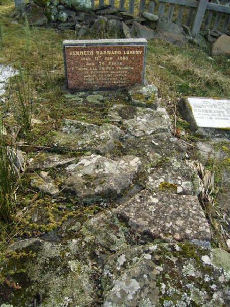 Full-size image
