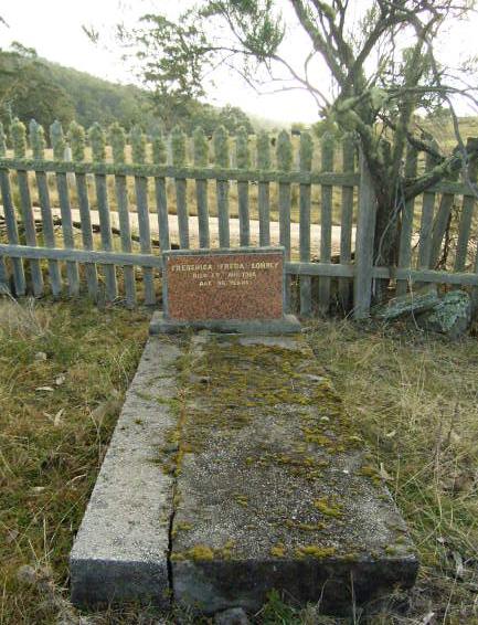 Full-size image
