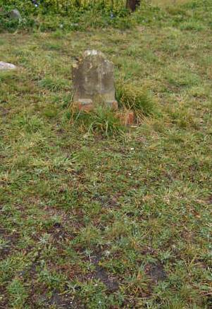 Full-size image
