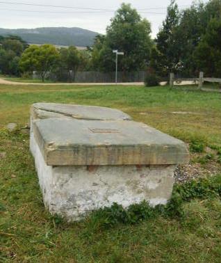 Full-size image