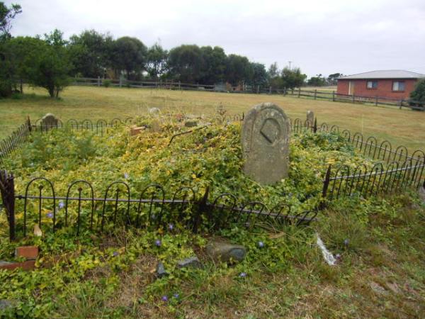 Full-size image