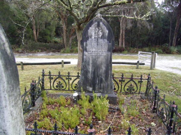 Full-size image