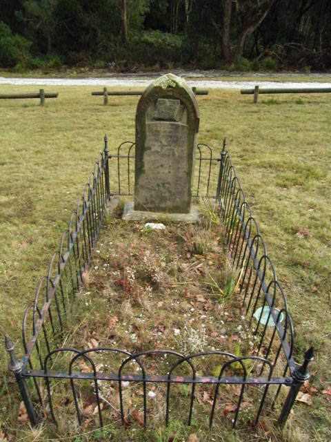 Full-size image
