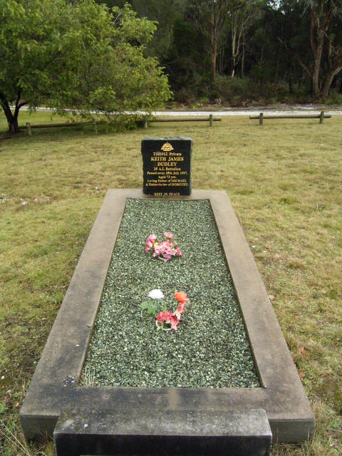 Full-size image