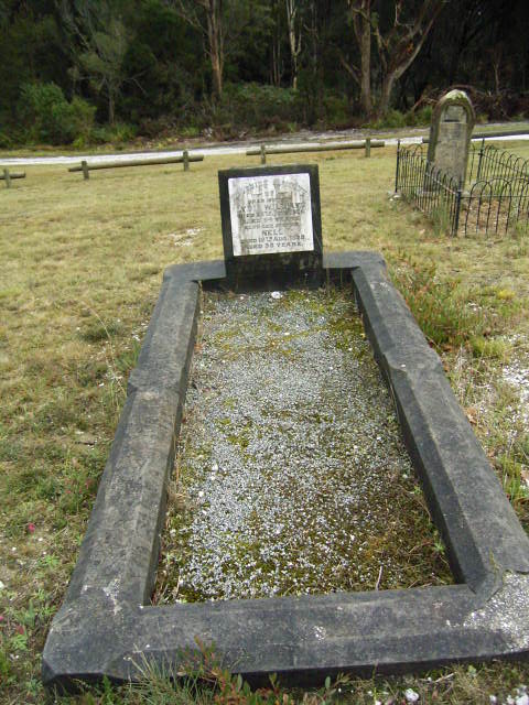 Full-size image