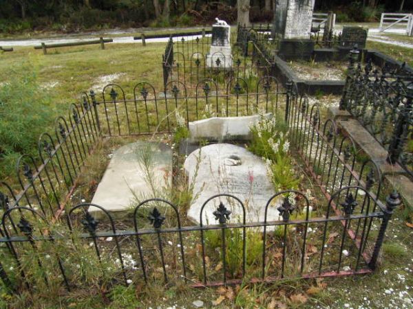 Full-size image