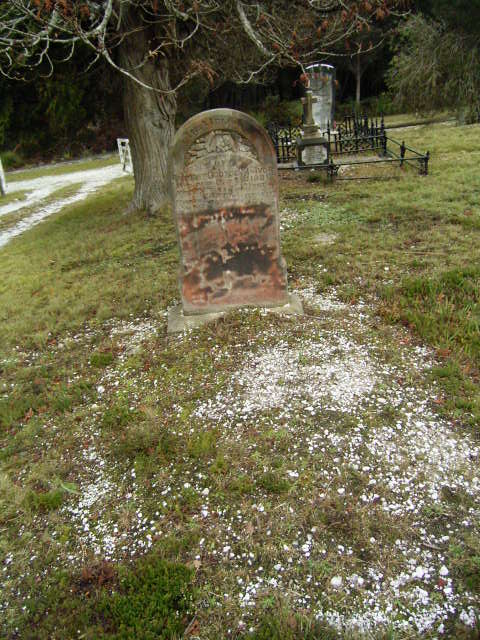 Full-size image