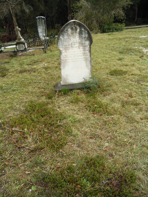 Full-size image