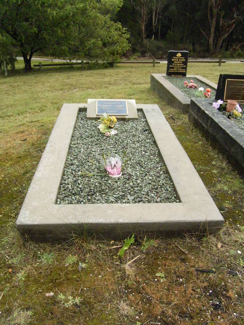 Full-size image