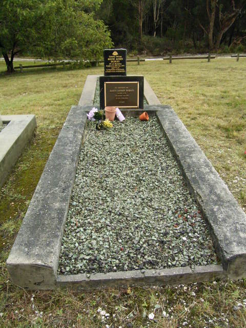 Full-size image