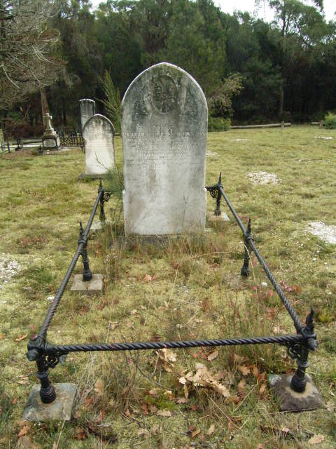 Full-size image