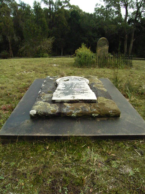 Full-size image