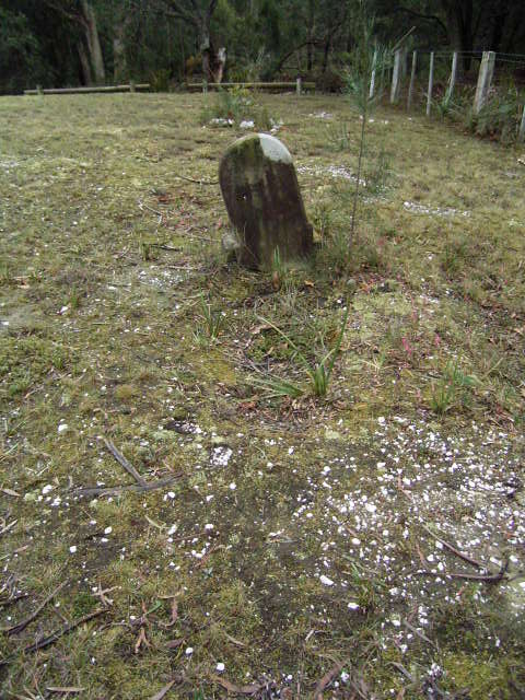 Full-size image