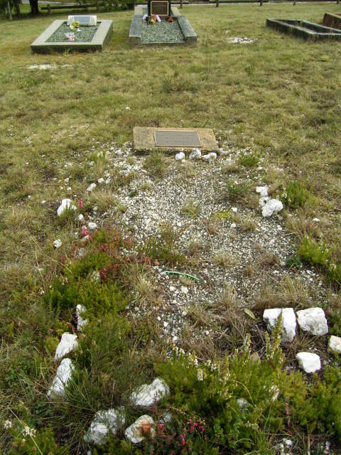 Full-size image