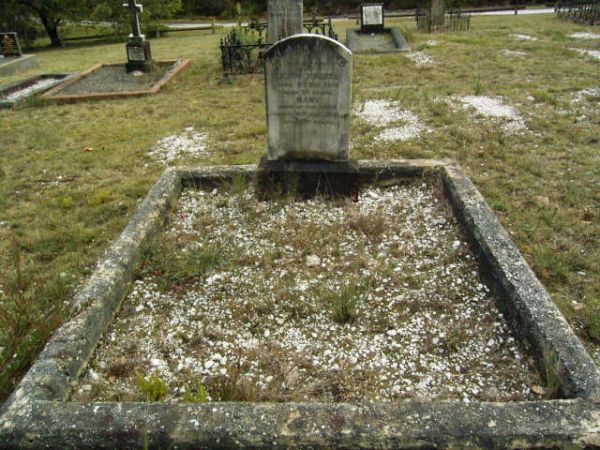 Full-size image