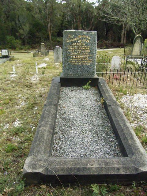 Full-size image