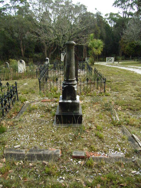 Full-size image