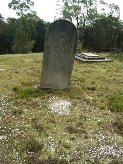 Full-size image