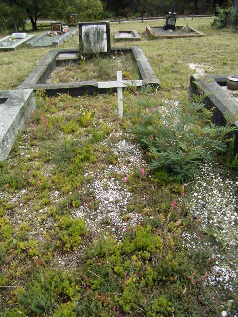 Full-size image