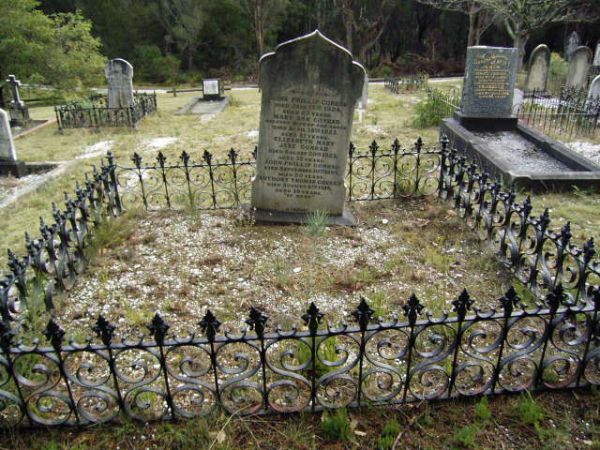 Full-size image
