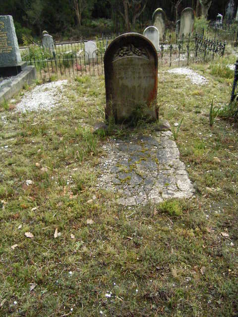 Full-size image