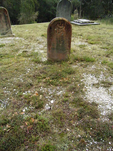 Full-size image
