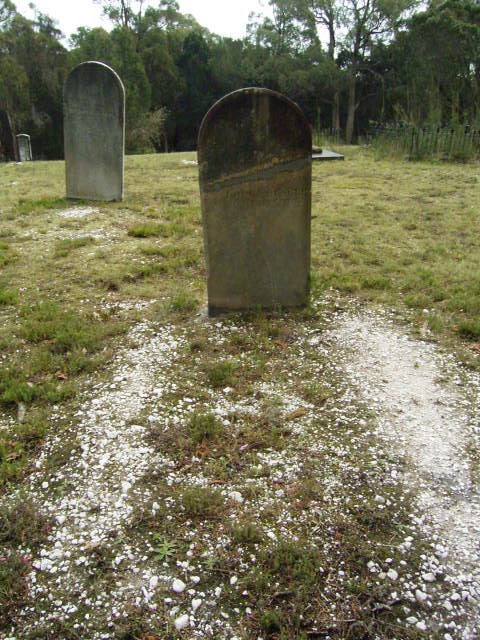 Full-size image
