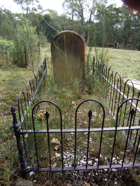 Full-size image