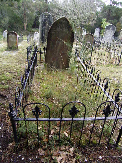 Full-size image