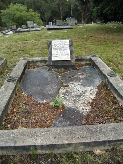Full-size image