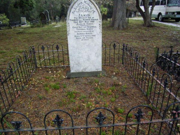 Full-size image