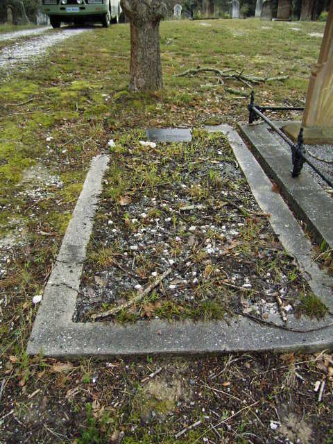 Full-size image