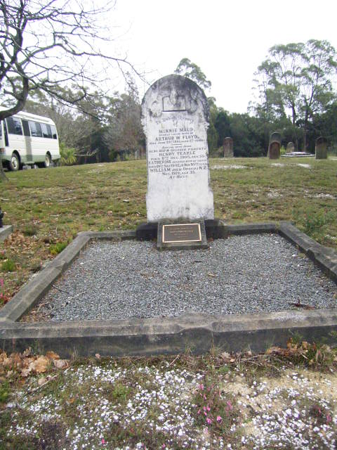 Full-size image