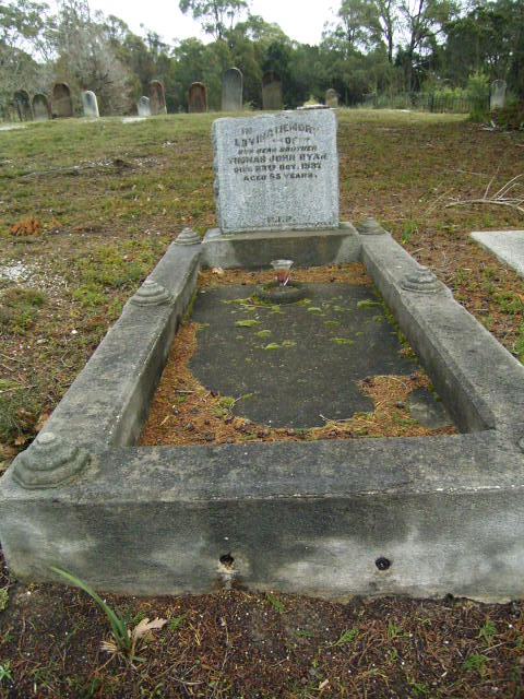 Full-size image