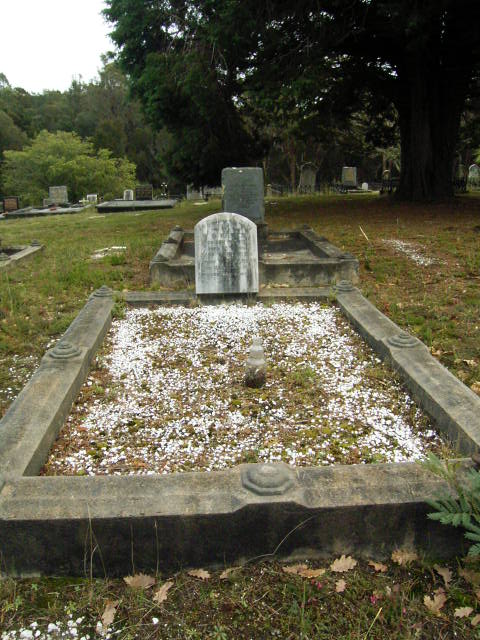 Full-size image