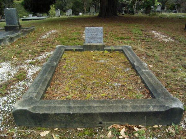 Full-size image