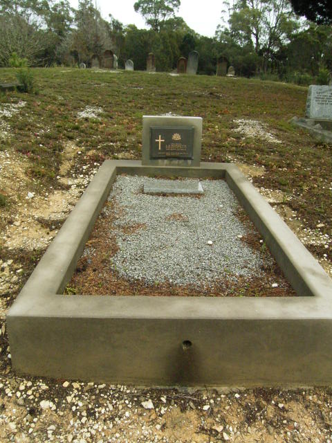 Full-size image
