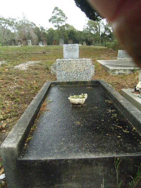 Full-size image