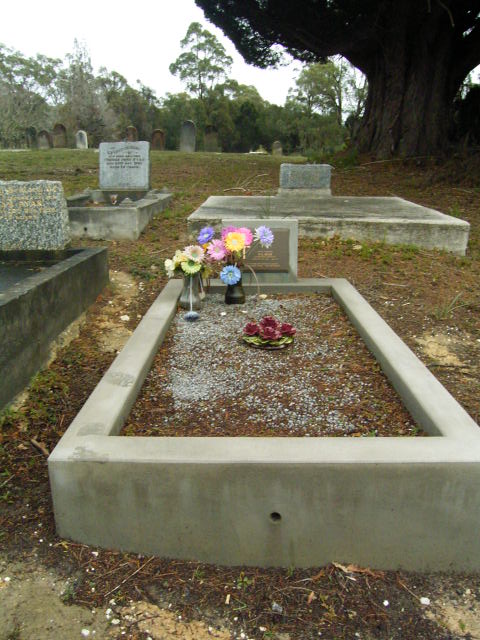 Full-size image