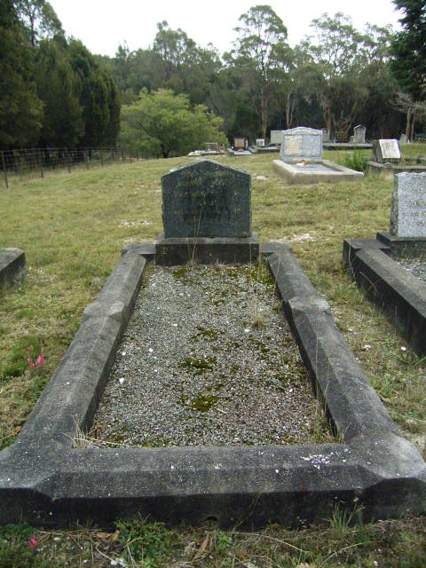 Full-size image