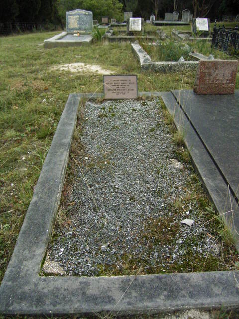 Full-size image