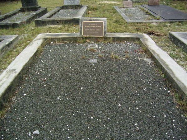 Full-size image