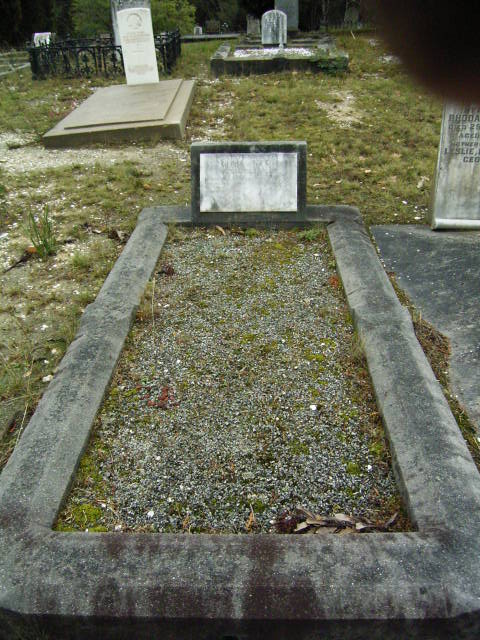 Full-size image