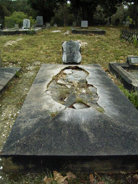 Full-size image